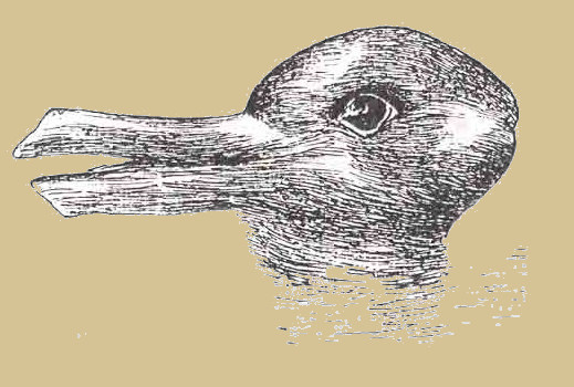 duck-rabbit_illusion