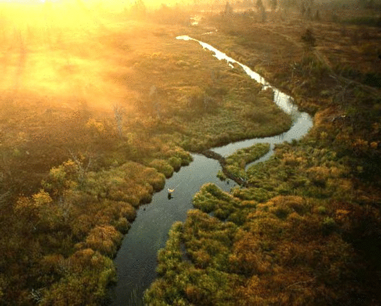 lefty river