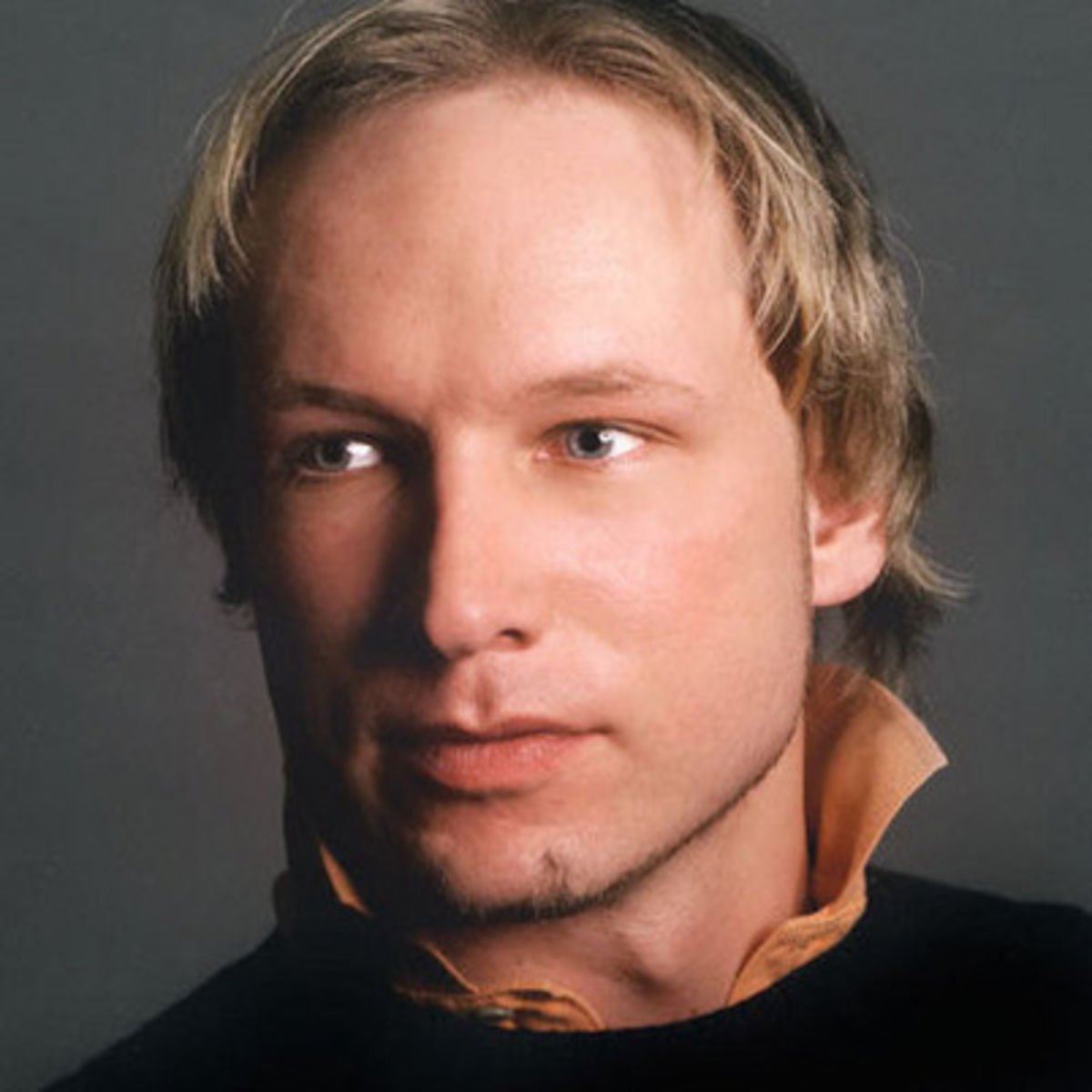 breivik-viking